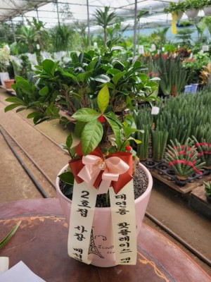 배송사진