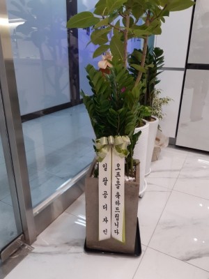 배송사진