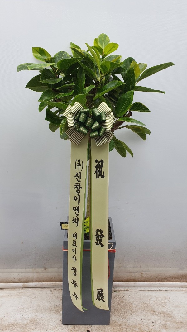 업로드 이미지