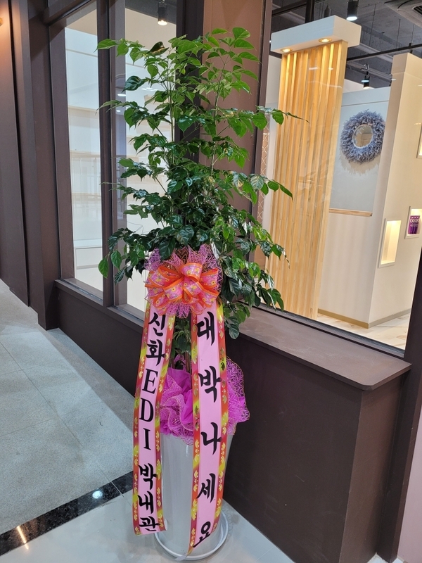업로드 이미지