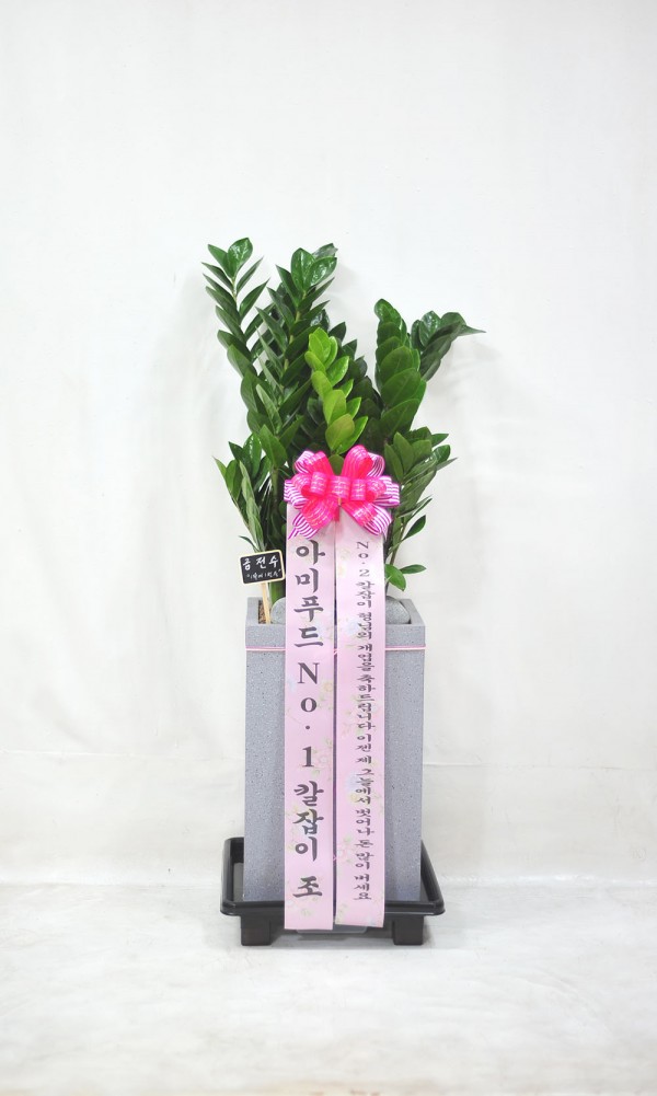 업로드 이미지