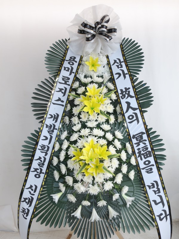 업로드 이미지