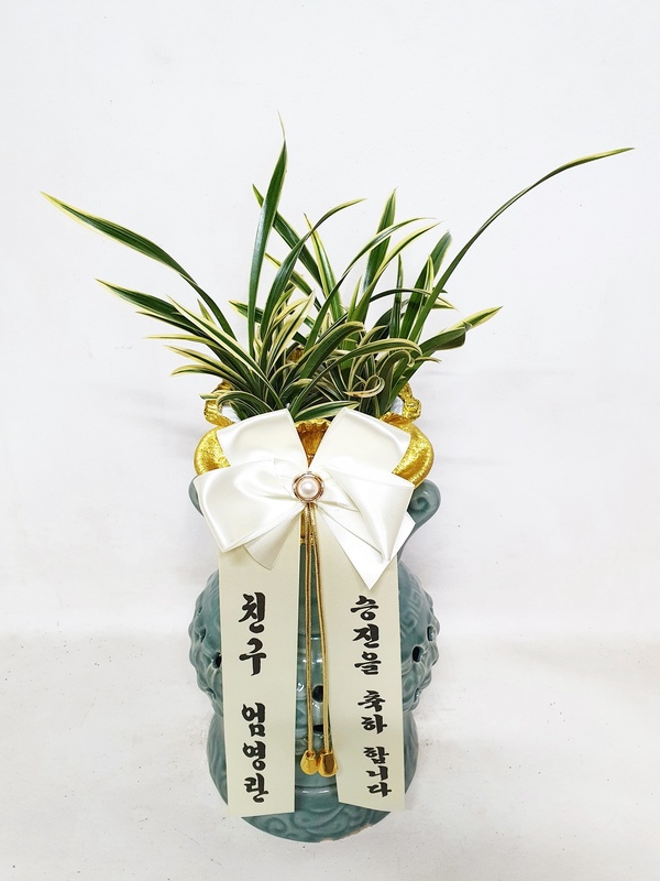 업로드 이미지