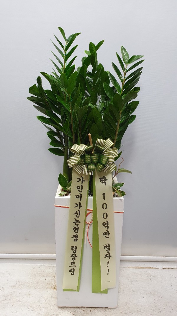 업로드 이미지