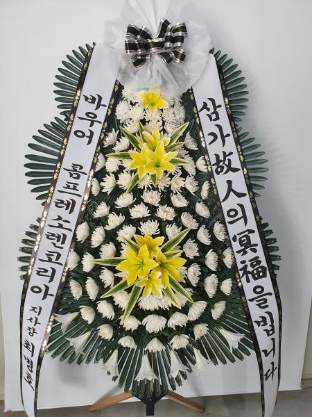 업로드 이미지
