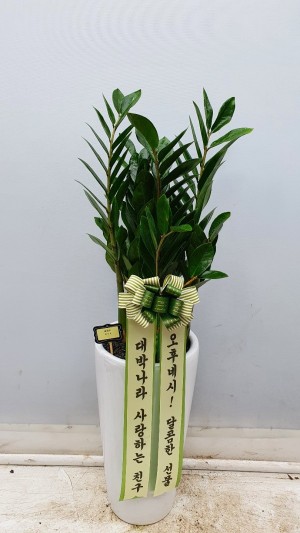배송사진