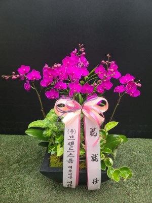 배송사진
