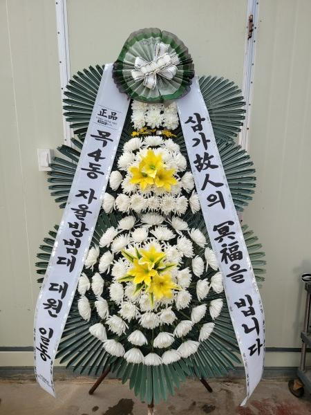 업로드 이미지
