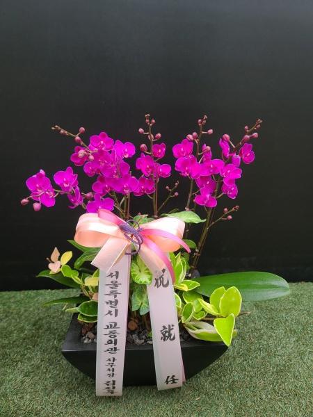 업로드 이미지