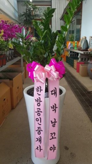 배송사진