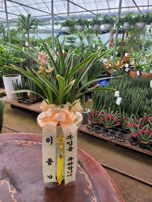 업로드 이미지