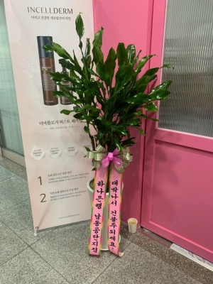 배송사진