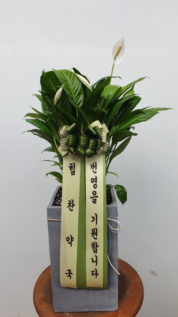 업로드 이미지