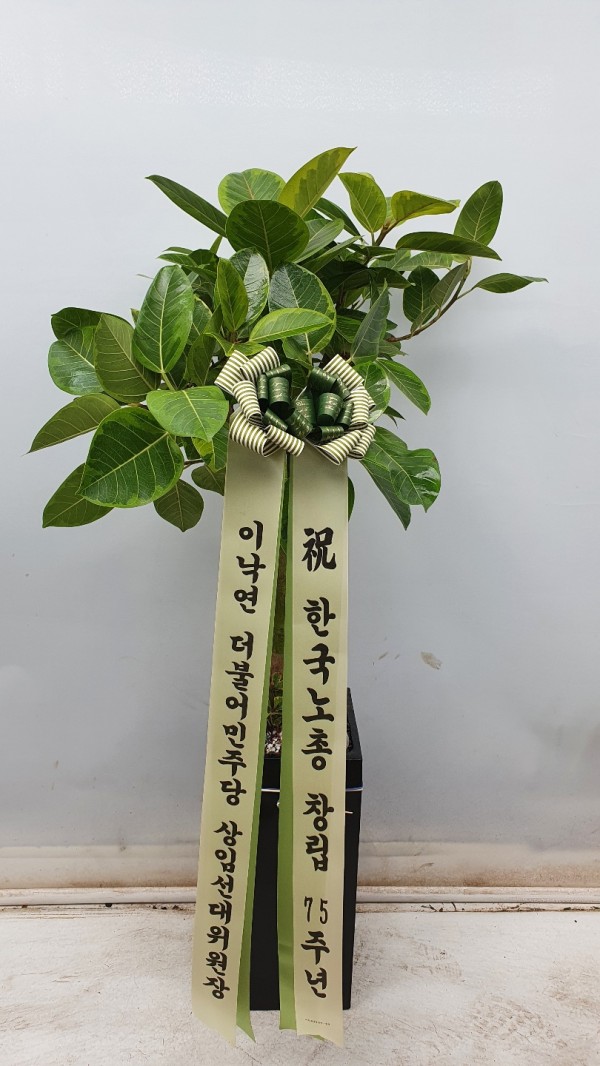 업로드 이미지