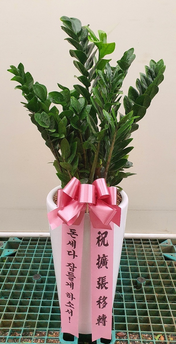 업로드 이미지