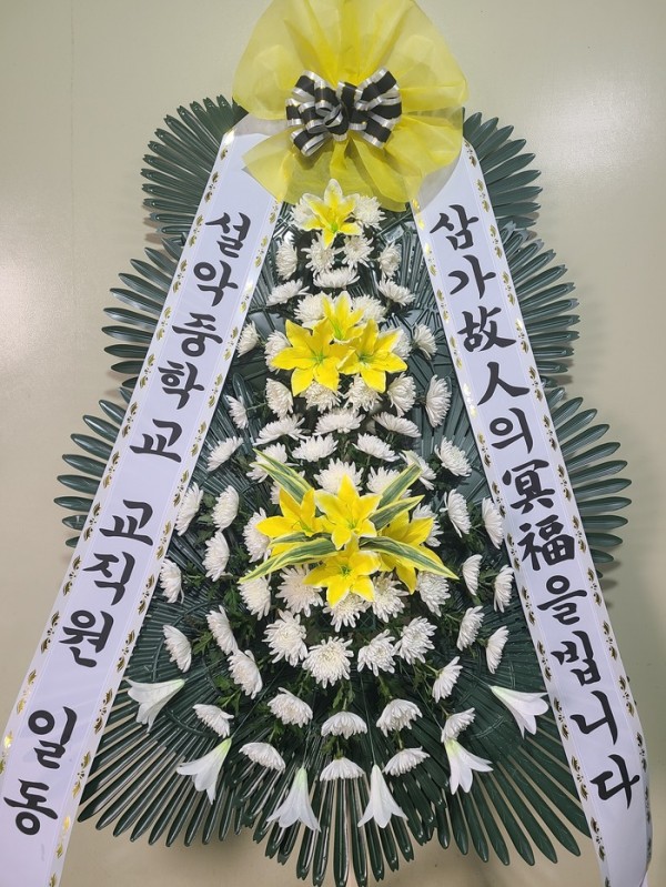 업로드 이미지