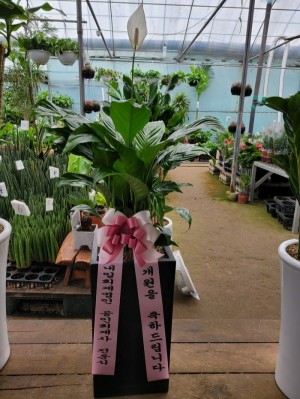 배송사진