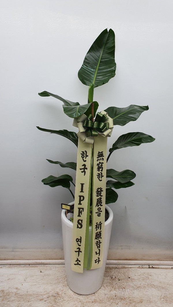 업로드 이미지