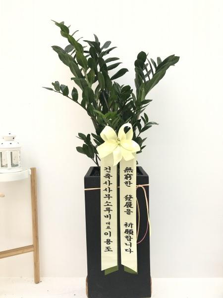 업로드 이미지