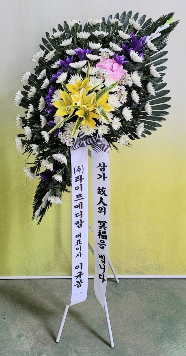 업로드 이미지