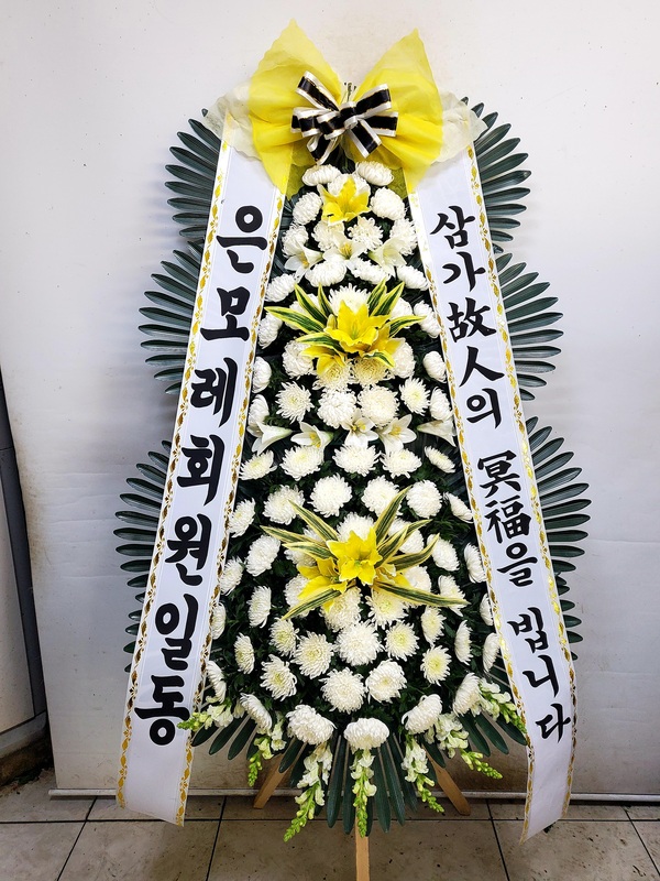 업로드 이미지