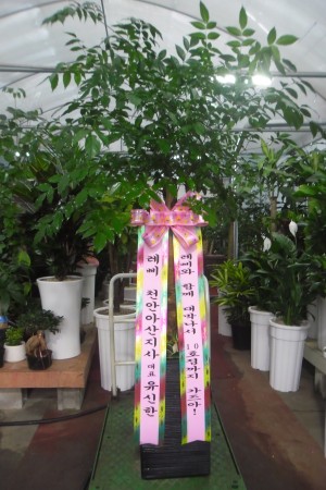 배송사진
