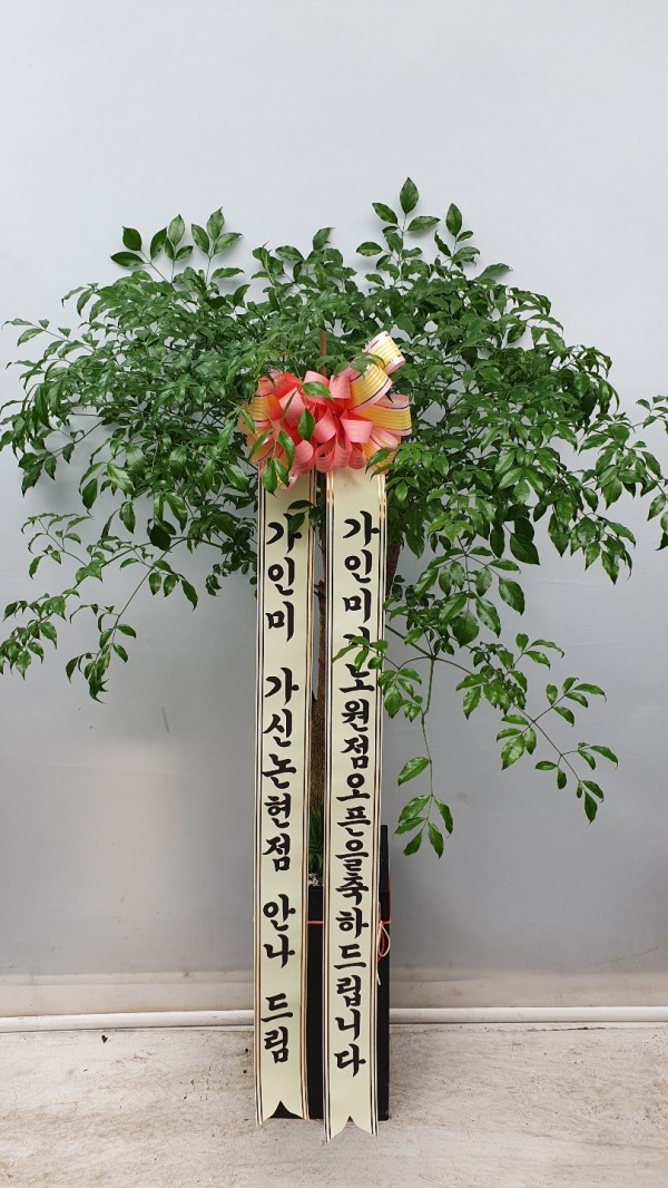 업로드 이미지