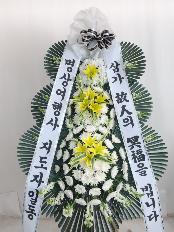 업로드 이미지