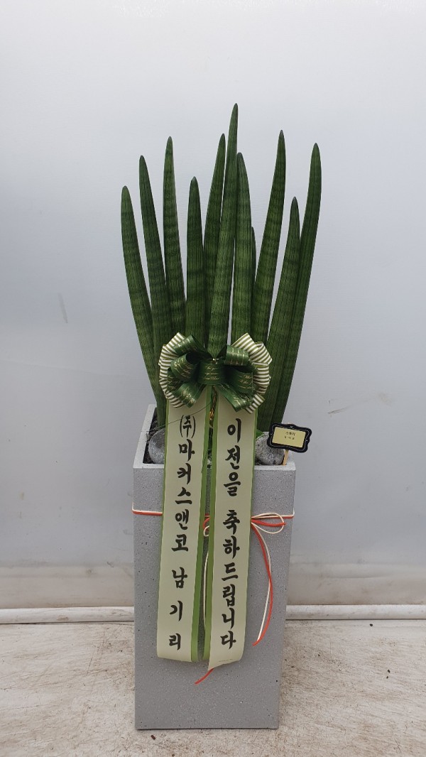업로드 이미지