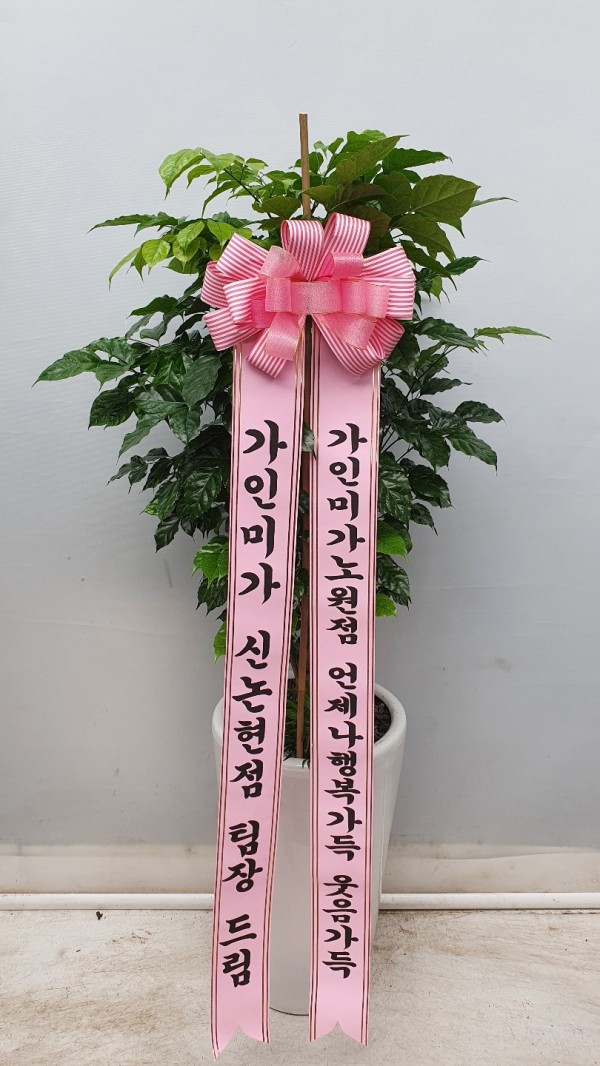 업로드 이미지