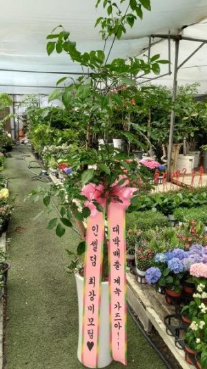 배송사진