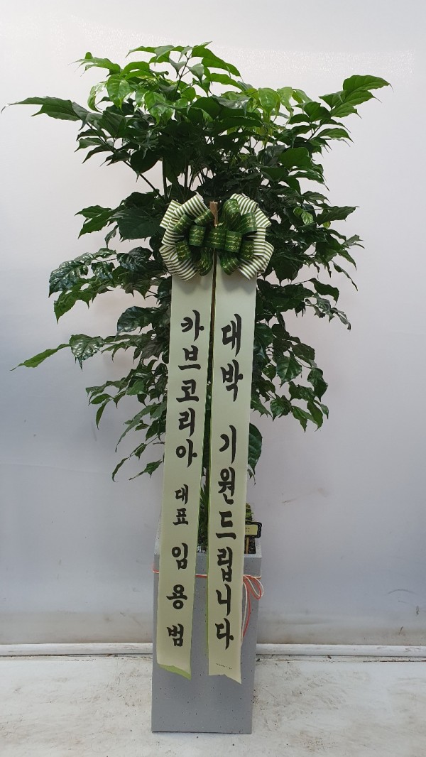 업로드 이미지