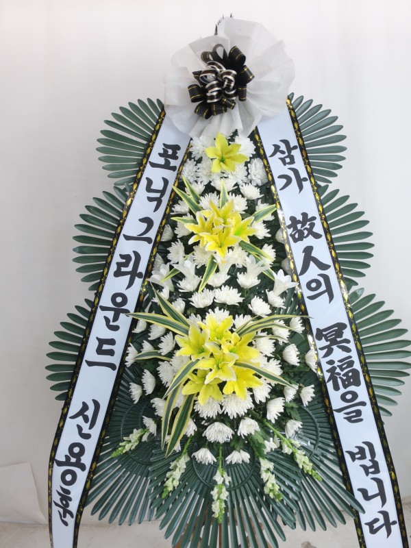 업로드 이미지