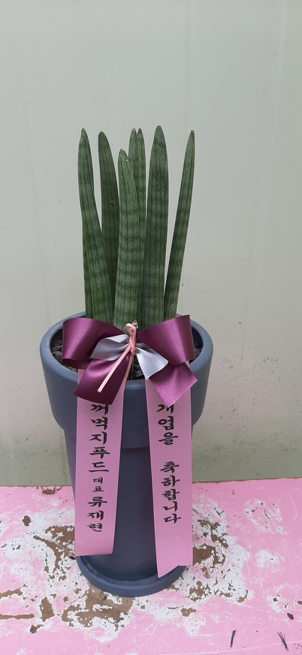 업로드 이미지