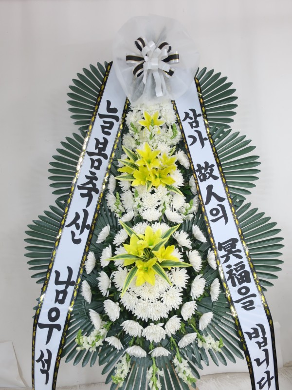 업로드 이미지