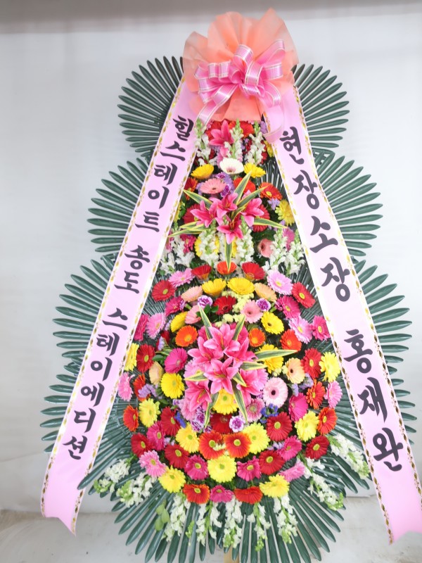 업로드 이미지
