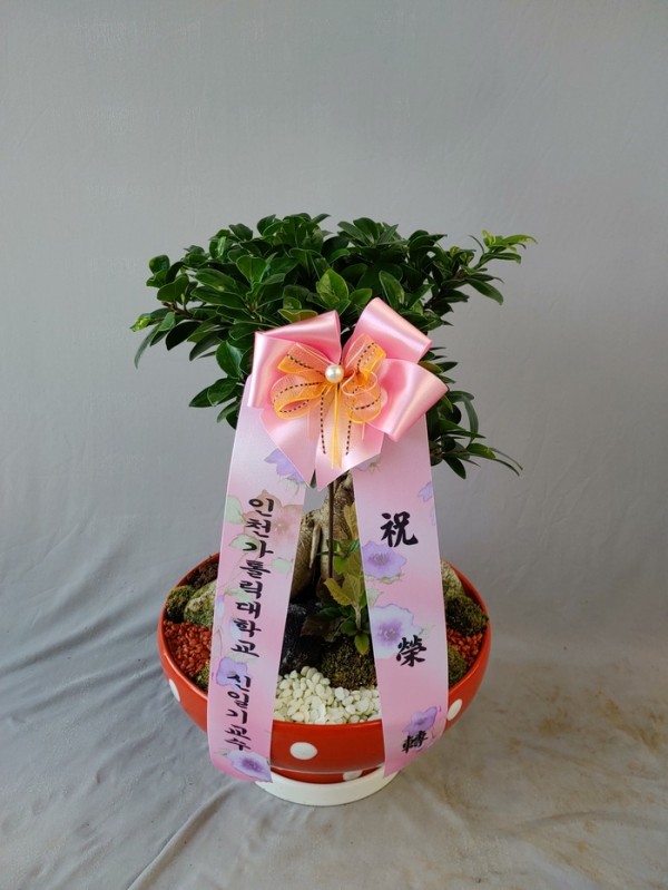 업로드 이미지