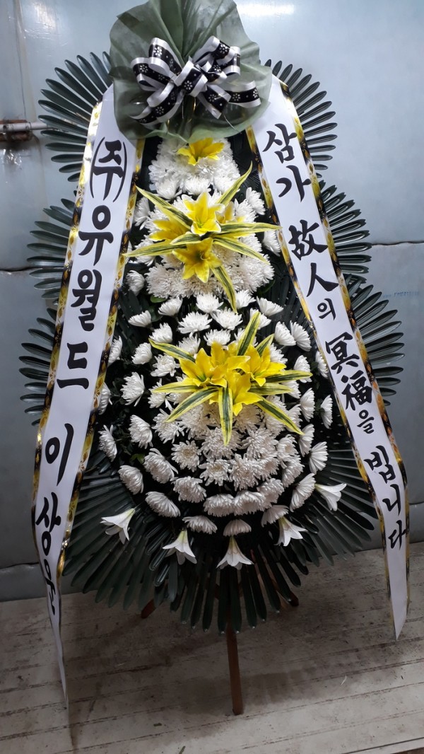 업로드 이미지