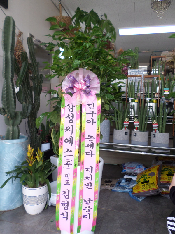 업로드 이미지