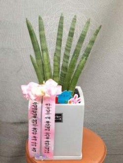배송사진