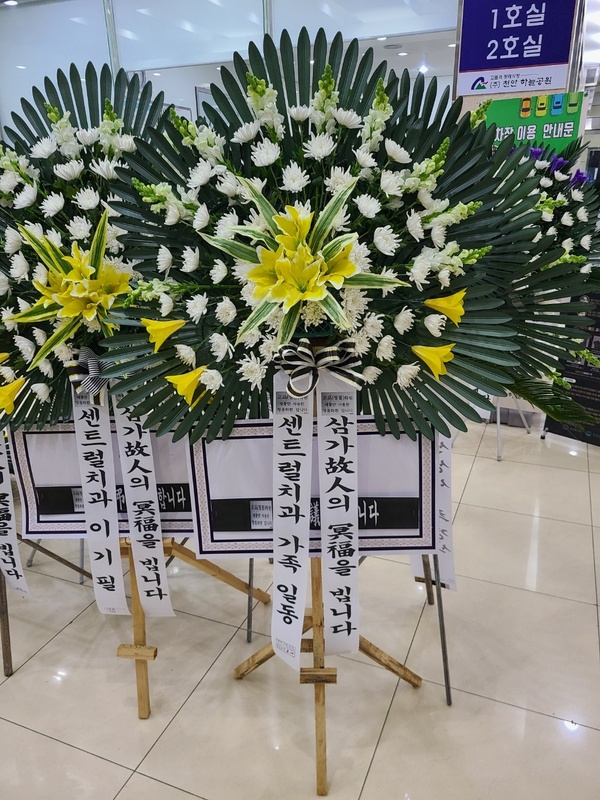 업로드 이미지