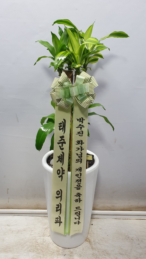 업로드 이미지