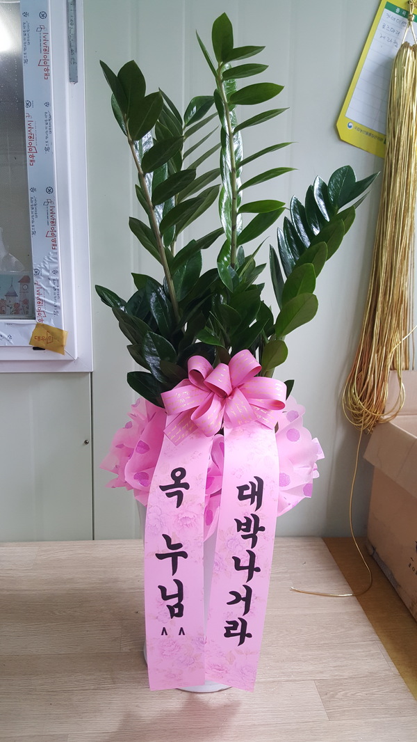 업로드 이미지
