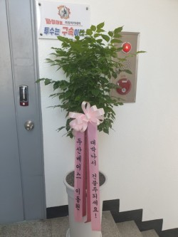 배송사진