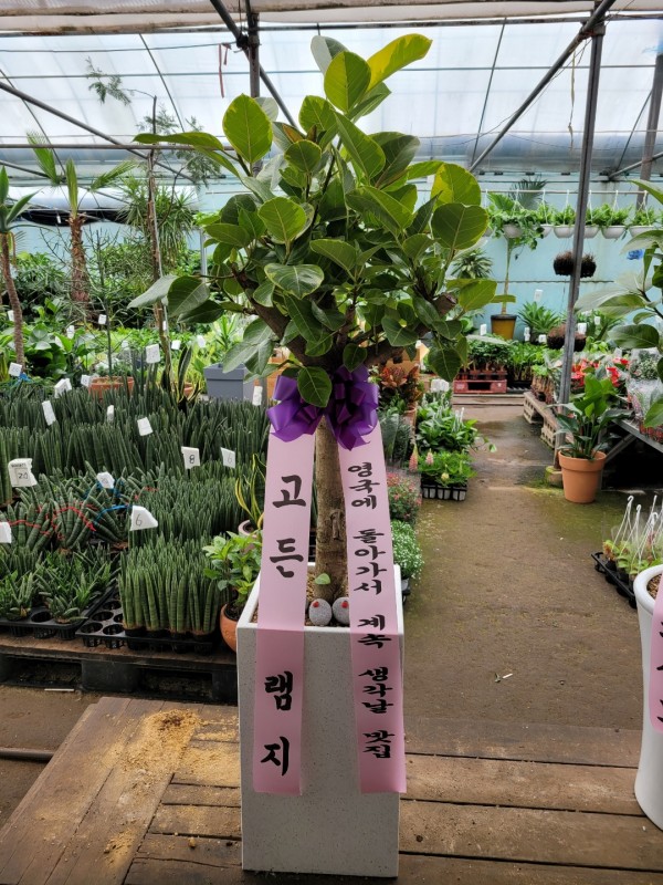 업로드 이미지