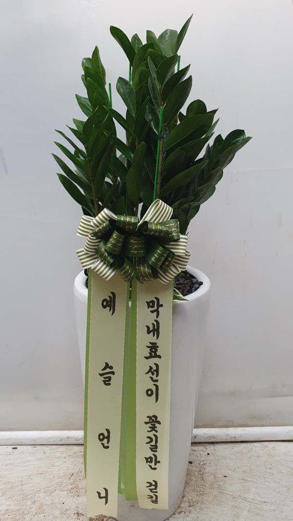 업로드 이미지