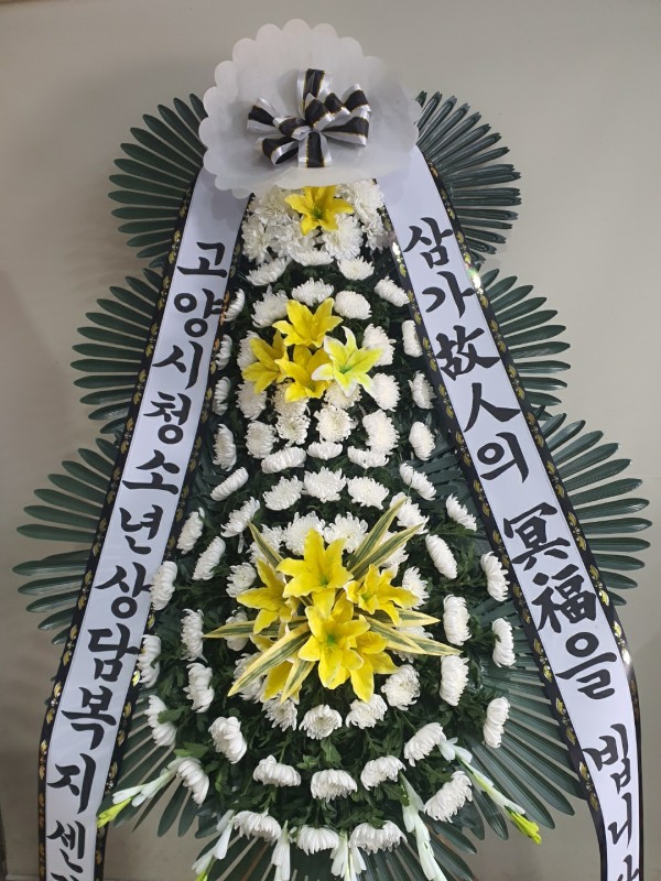업로드 이미지