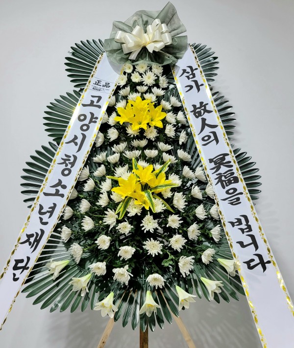 업로드 이미지