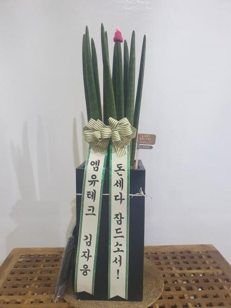 업로드 이미지
