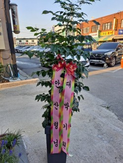 배송사진